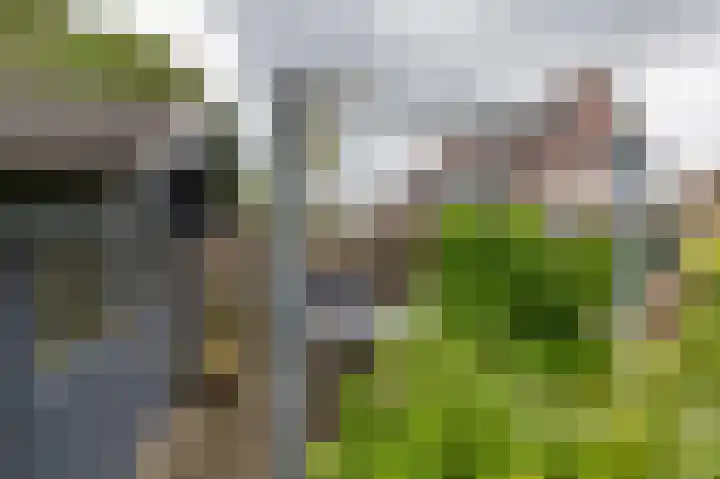 Valkenhorst 12 Delfzijl thumbnail 32