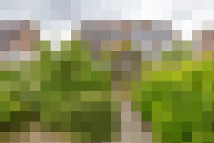 Valkenhorst 12 Delfzijl thumbnail 33