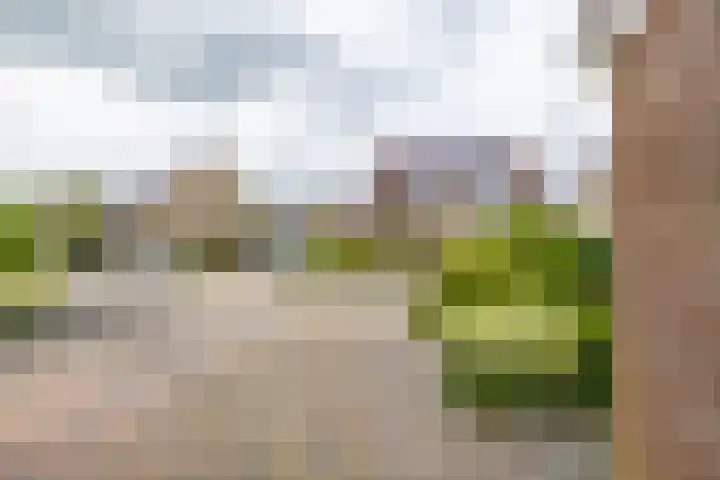 Valkenhorst 12 Delfzijl thumbnail 35
