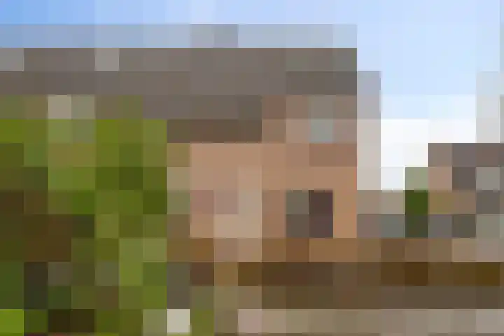 Valkenhorst 17 Scherpenzeel