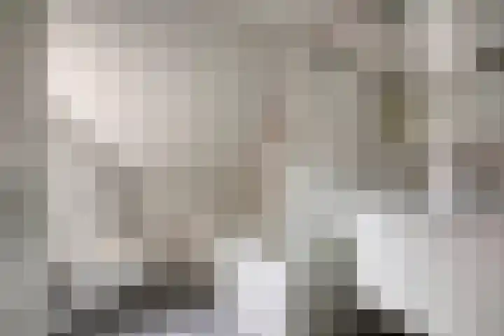 Valkenhorst 17 Scherpenzeel thumbnail 11