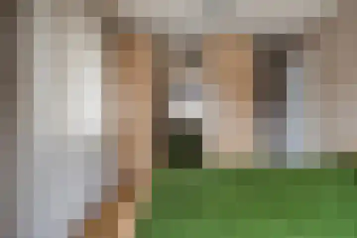 Valkenhorst 17 Scherpenzeel thumbnail 13