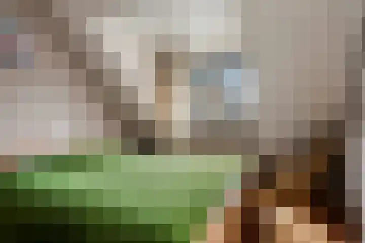 Valkenhorst 17 Scherpenzeel thumbnail 14