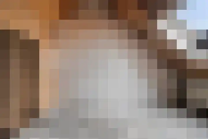 Valkenhorst 17 Scherpenzeel thumbnail 21