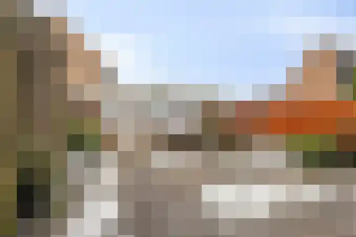 Valkenhorst 17 Scherpenzeel foto 3