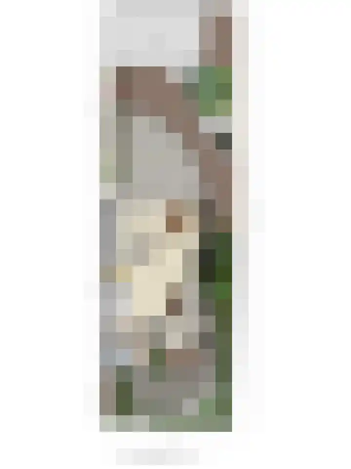 Valkenhorst 17 Scherpenzeel thumbnail 30