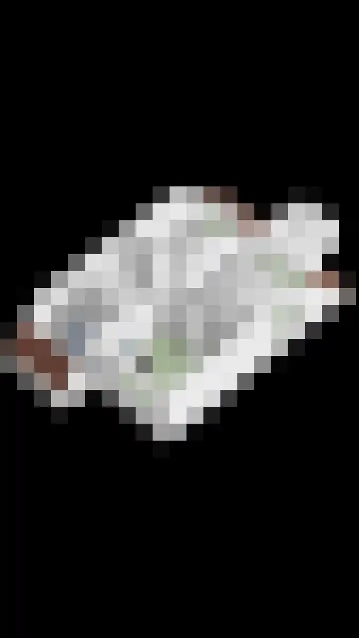 Valkenhorst 17 Scherpenzeel thumbnail 33