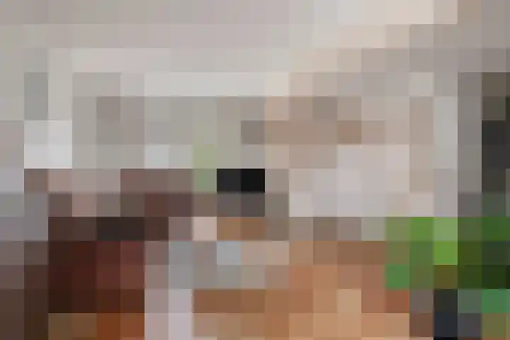 Valkenhorst 17 Scherpenzeel thumbnail 4