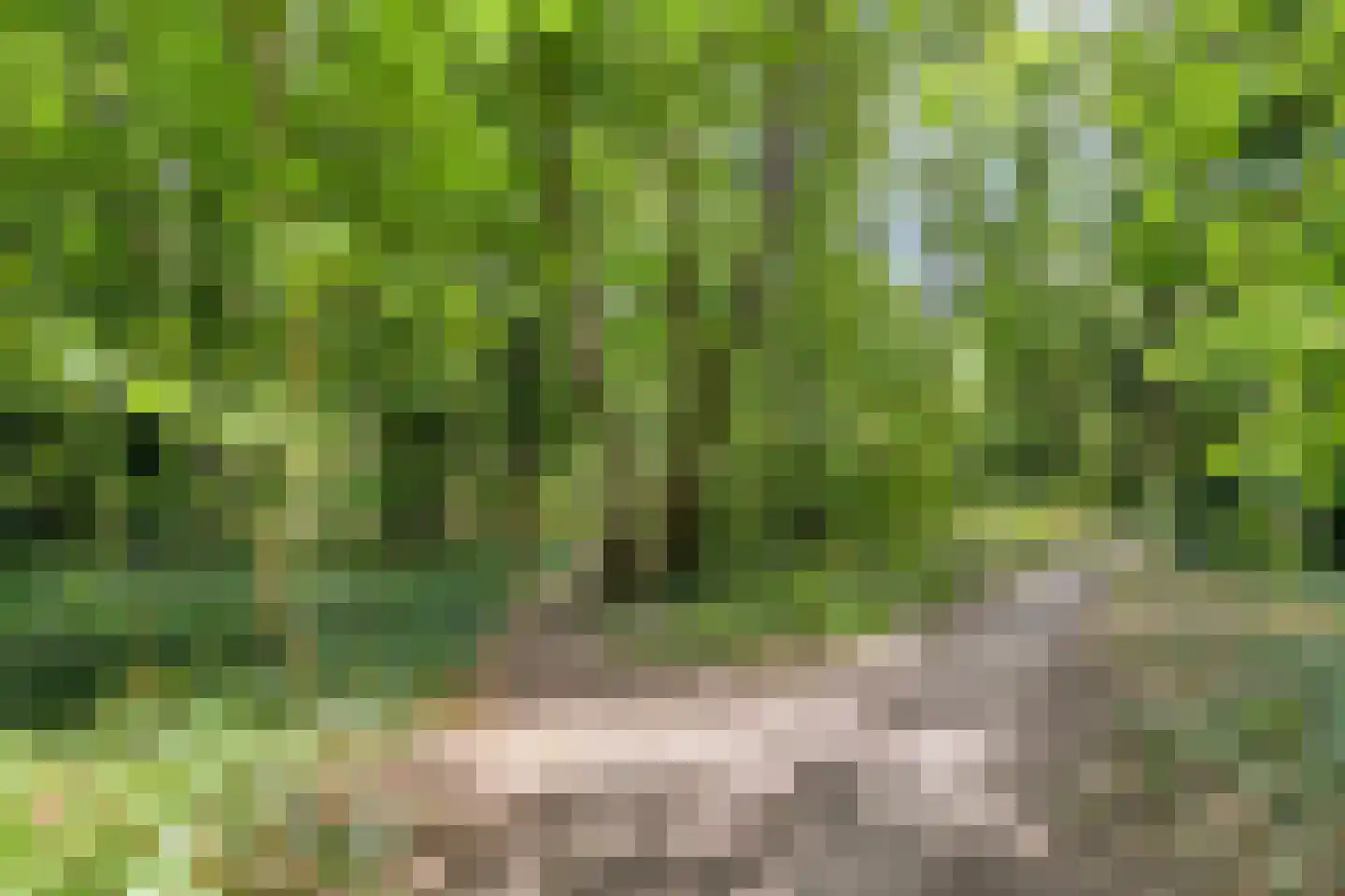 Valkenhorst 31 Cuijk thumbnail 40
