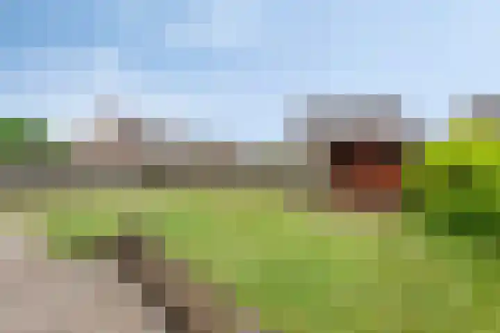 Valkenhorst 31 Delfzijl thumbnail 32