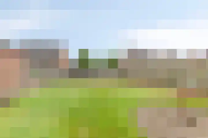 Valkenhorst 31 Delfzijl thumbnail 33