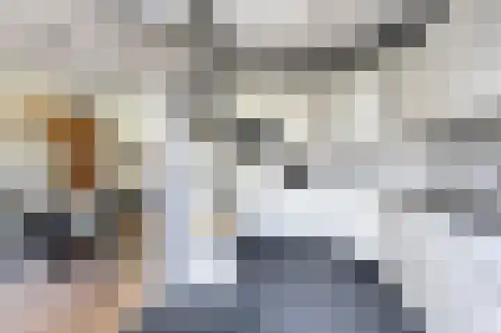 Valkenhorst 31 Scherpenzeel thumbnail 11