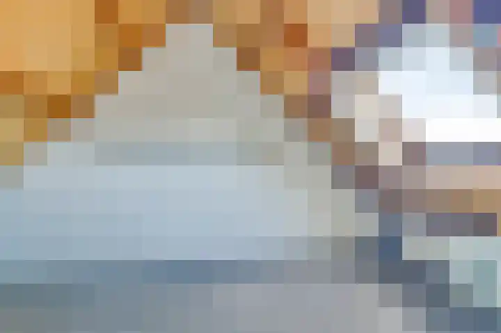 Valkenhorst 31 Scherpenzeel thumbnail 20