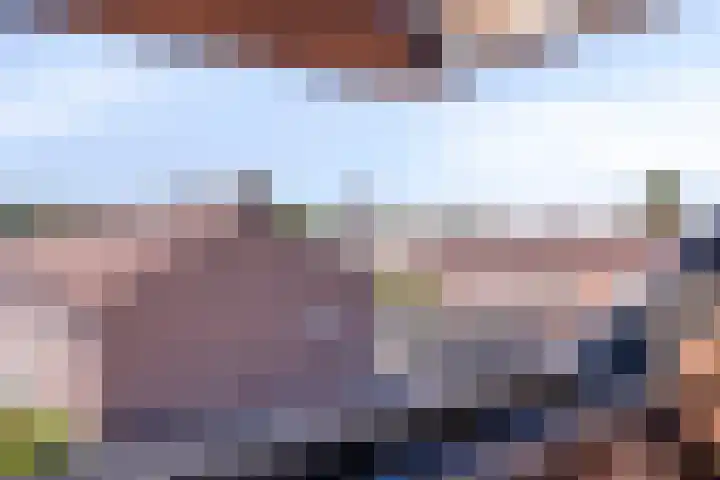 Valkenhorst 31 Scherpenzeel thumbnail 22