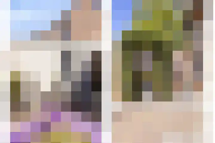 Valkenhorst 31 Scherpenzeel thumbnail 24