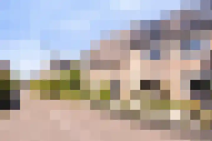 Valkenhorst 31 Scherpenzeel thumbnail 26