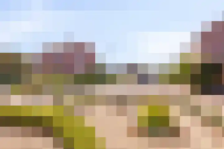 Valkenhorst 31 Scherpenzeel thumbnail 27