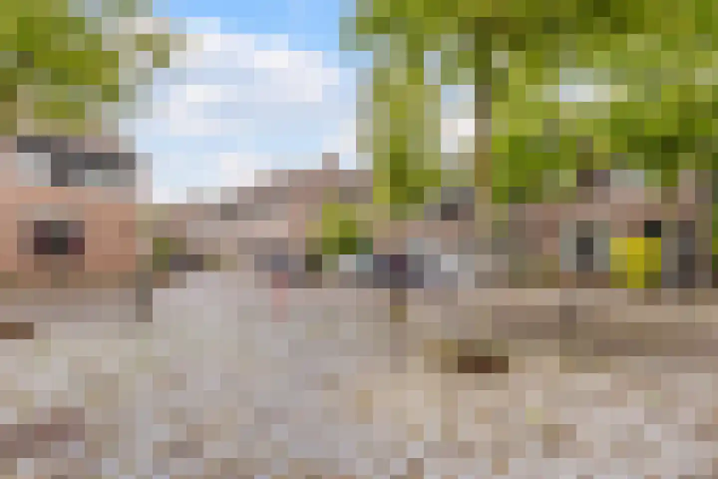 Valkenhorst 35 Cuijk thumbnail 25