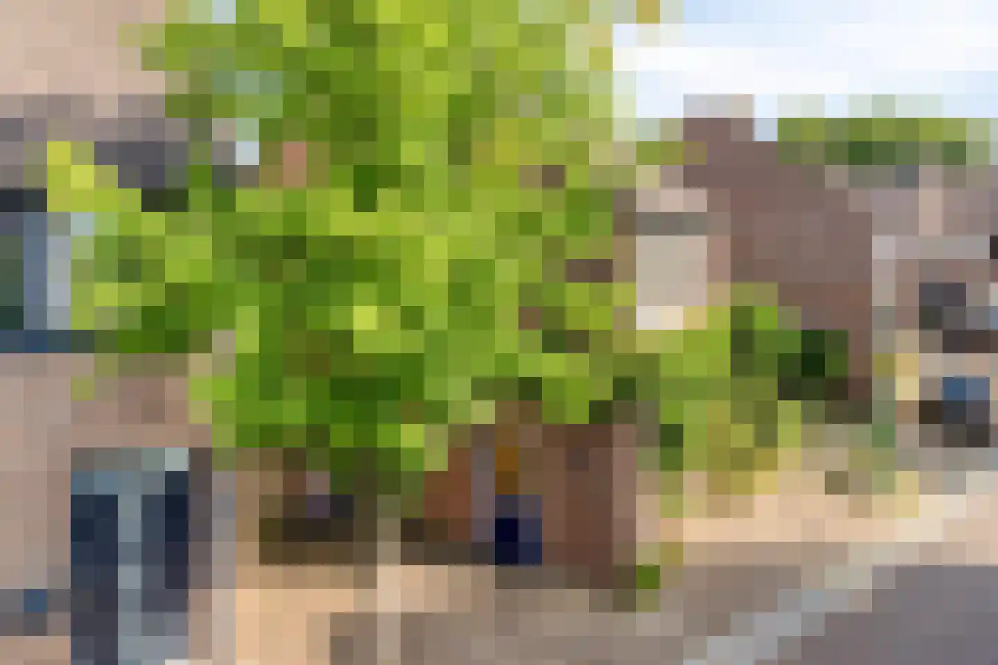 Valkenhorst 38 Cuijk thumbnail 11