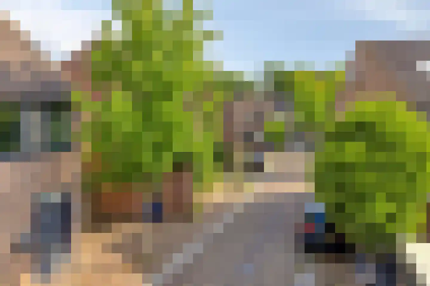 Valkenhorst 38 Cuijk thumbnail 12