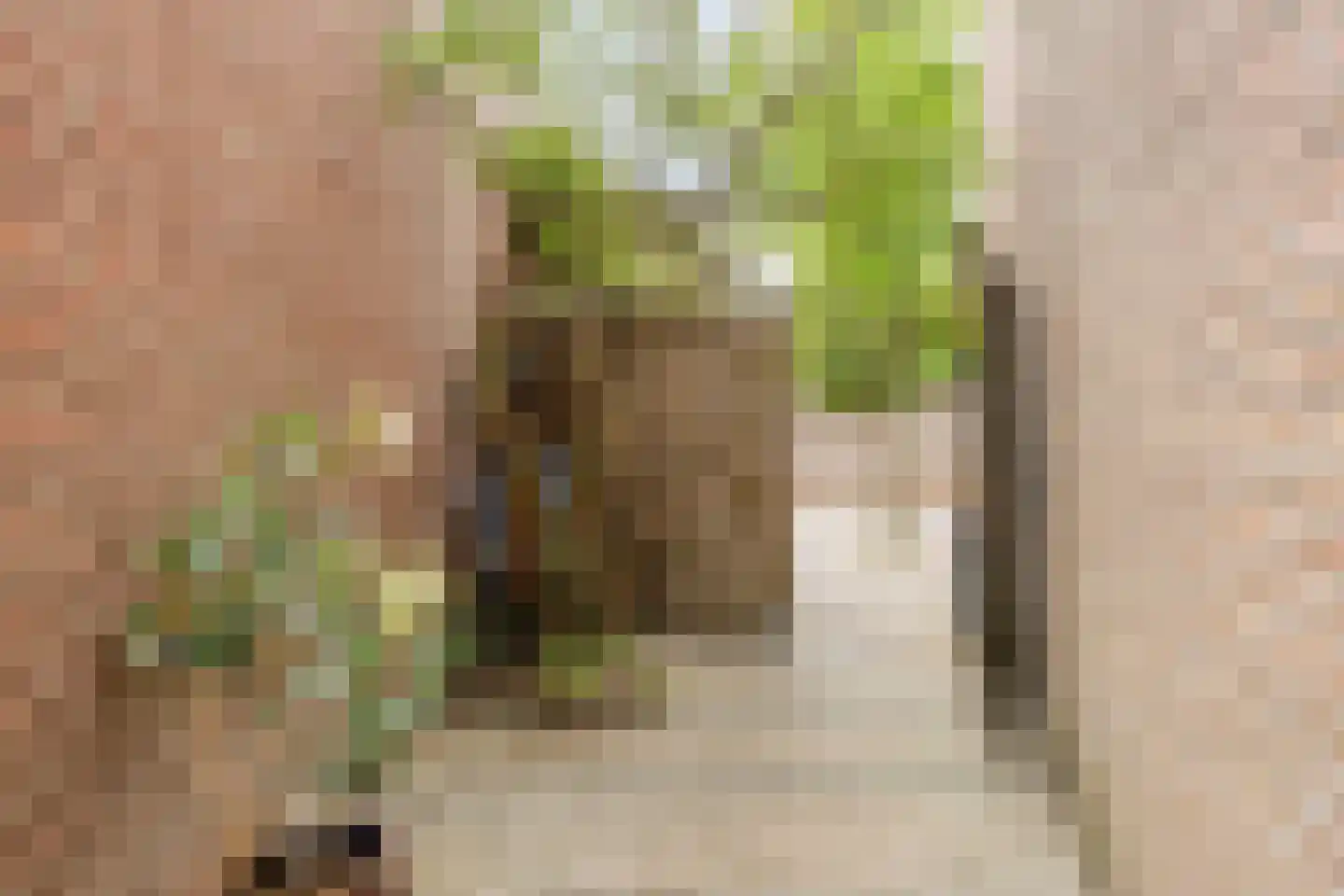Valkenhorst 38 Cuijk thumbnail 31
