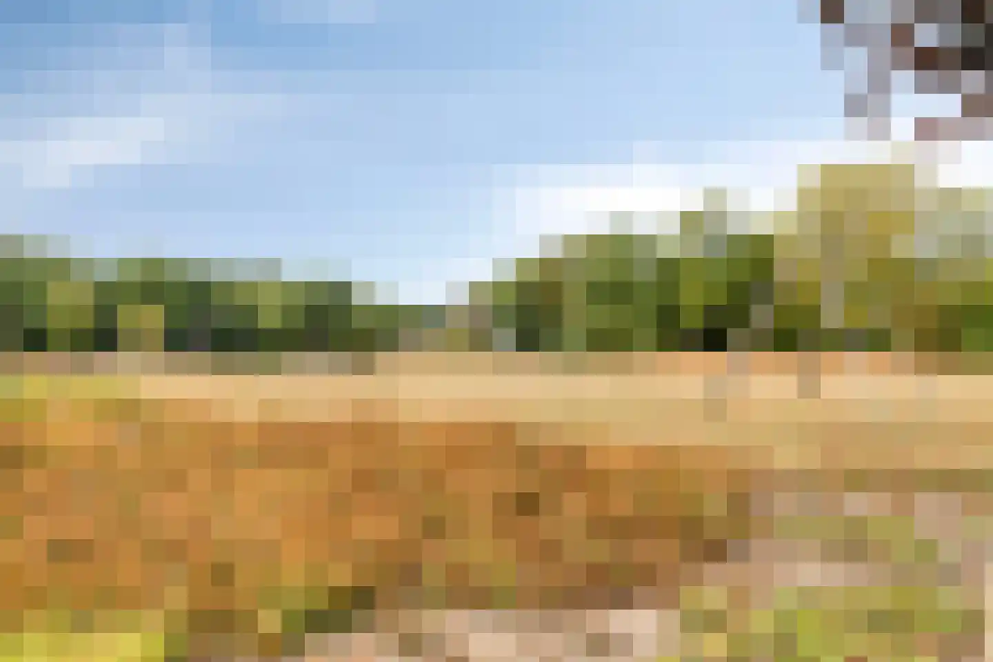 Valkenhorst 38 Cuijk thumbnail 38
