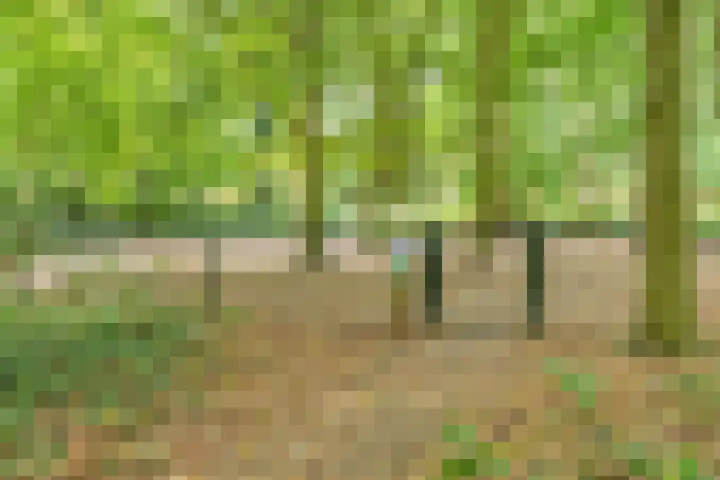 Valkenhorst 38 Cuijk thumbnail 40