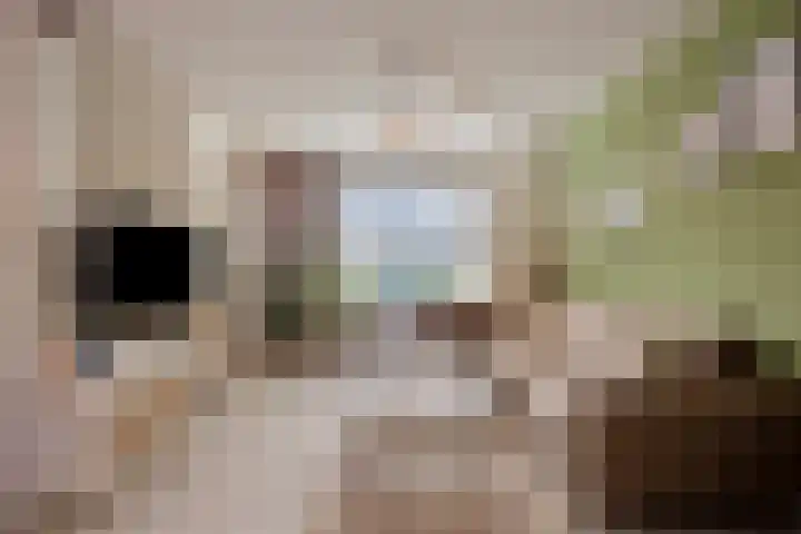 Valkenhorst 40 Cuijk thumbnail 10