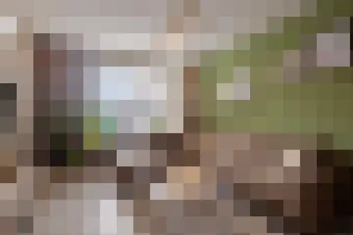 Valkenhorst 40 Cuijk thumbnail 11