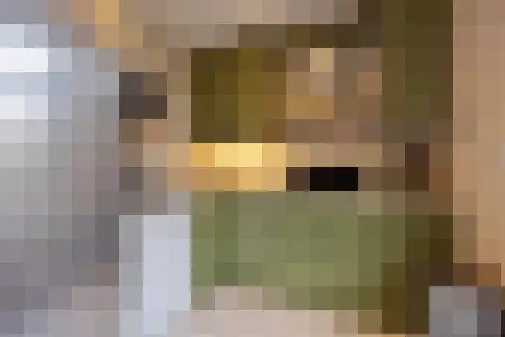 Valkenhorst 40 Cuijk thumbnail 17