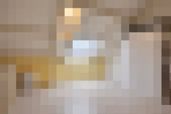 Valkenhorst 40 Cuijk thumbnail 34