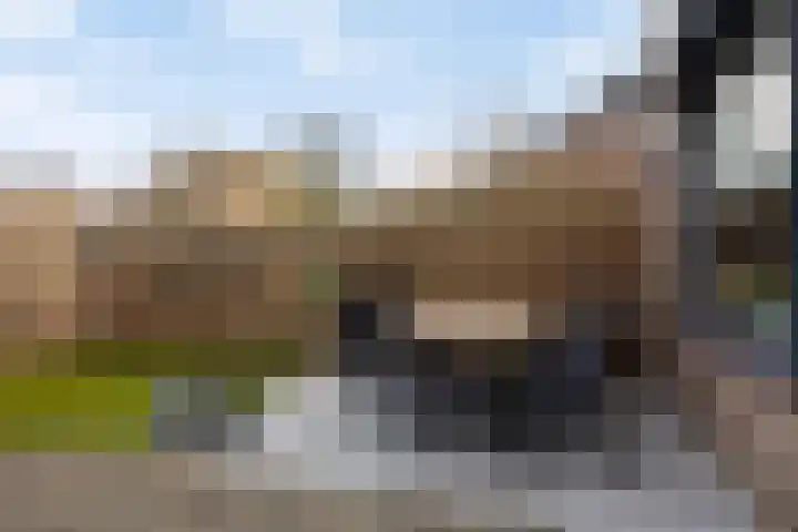 Valkenhorst 40 Cuijk thumbnail 37
