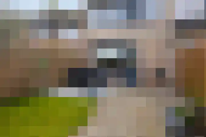 Valkenhorst 40 Cuijk thumbnail 40