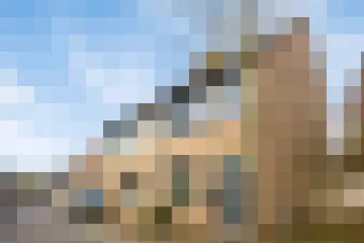 Valkenhorst 40 Cuijk thumbnail 5