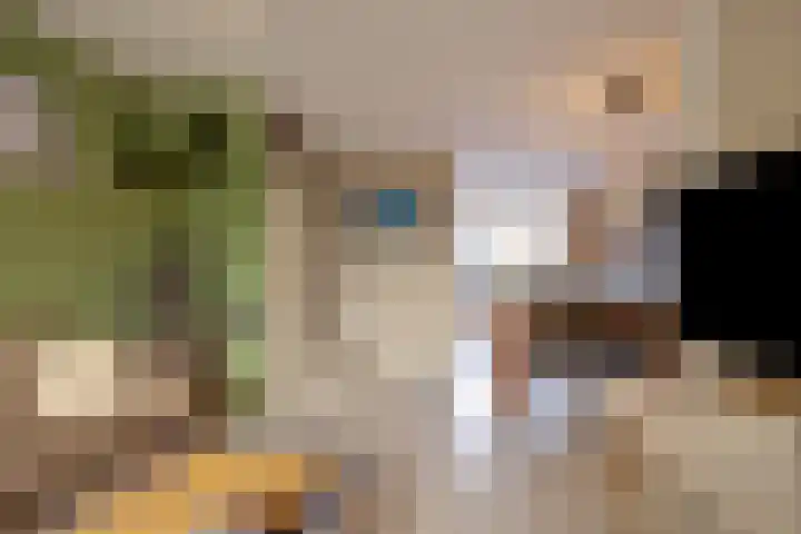 Valkenhorst 40 Cuijk thumbnail 9