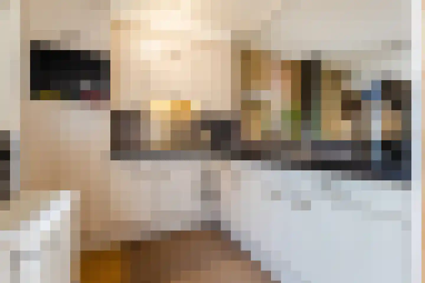 Valkenhorst 5 Cuijk thumbnail 13