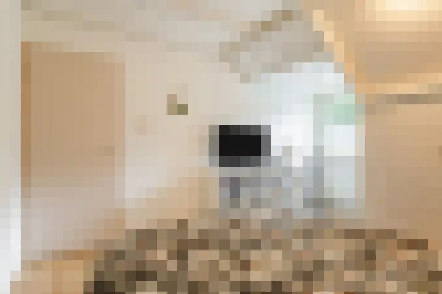 Valkenhorst 5 Cuijk thumbnail 18