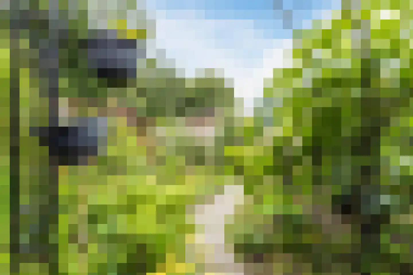 Valkenhorst 5 Cuijk thumbnail 25
