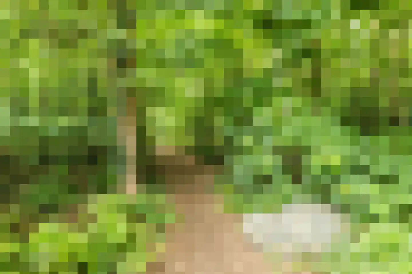 Valkenhorst 5 Cuijk thumbnail 35