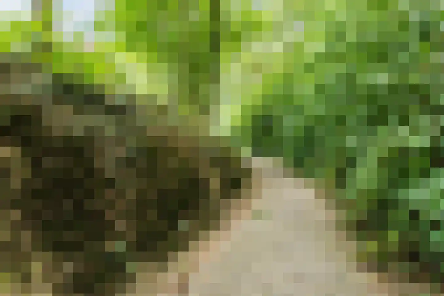 Valkenhorst 5 Cuijk thumbnail 36