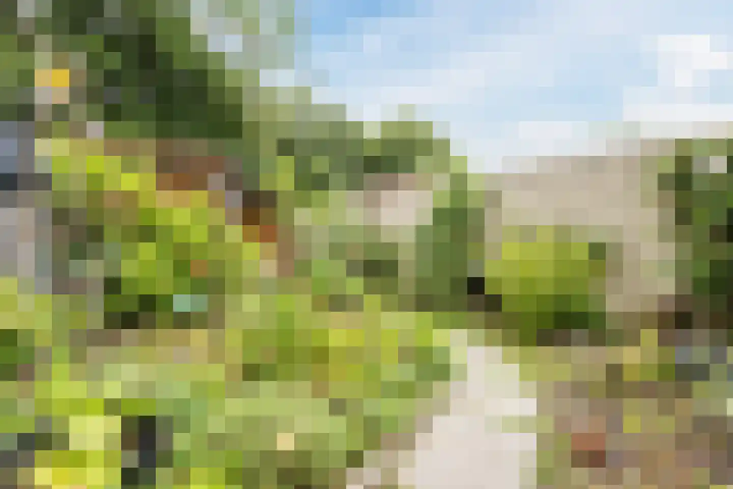Valkenhorst 5 Cuijk thumbnail 4