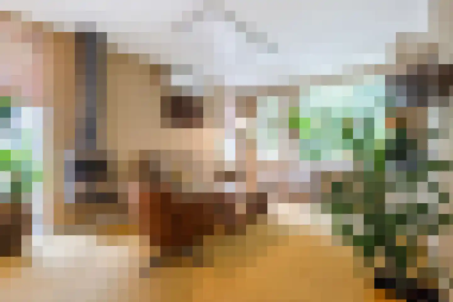 Valkenhorst 5 Cuijk thumbnail 6