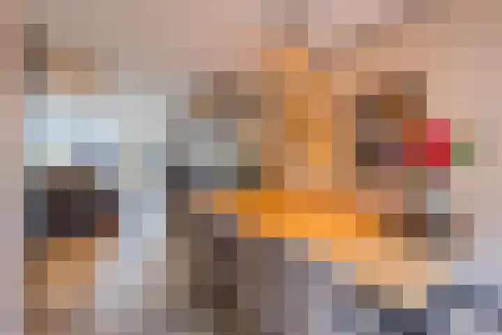 Valkenhorst 7 Cuijk thumbnail 10