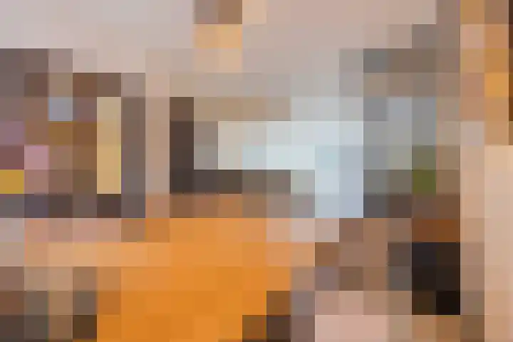 Valkenhorst 7 Cuijk thumbnail 11