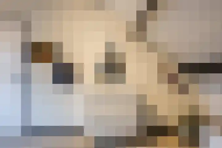 Valkenhorst 7 Cuijk thumbnail 30