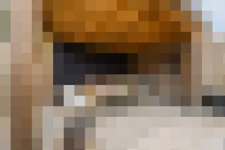 Valkenhorst 7 Cuijk thumbnail 33