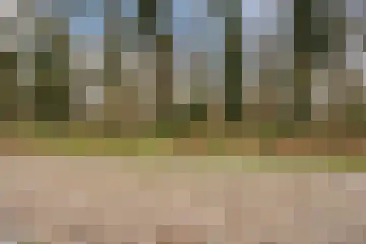 Valkenhorst 7 Cuijk thumbnail 36