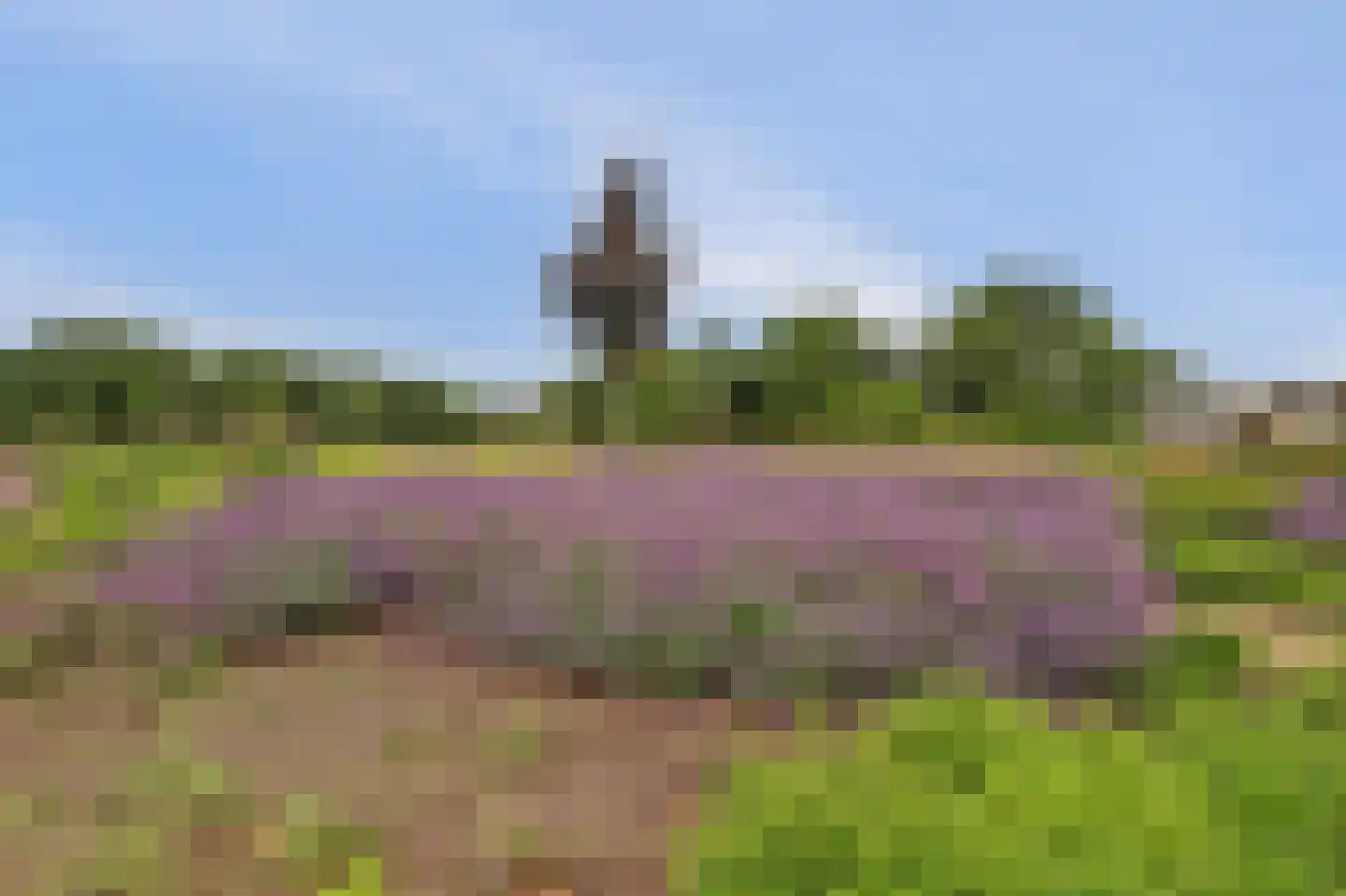 Valkenhorst 72 Cuijk thumbnail 51