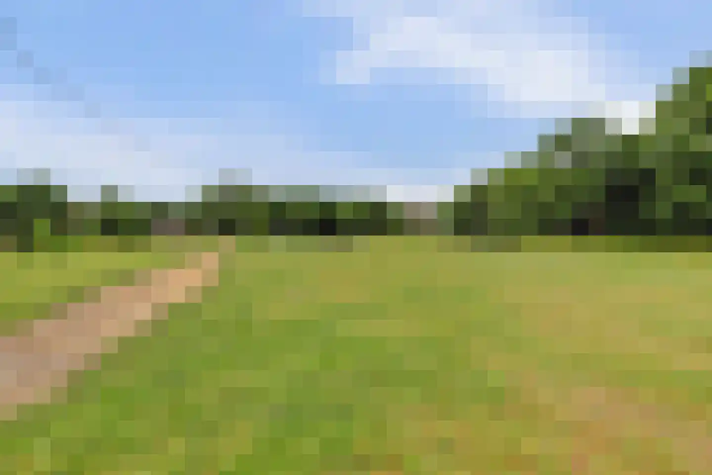 Valkenhorst 72 Cuijk thumbnail 53