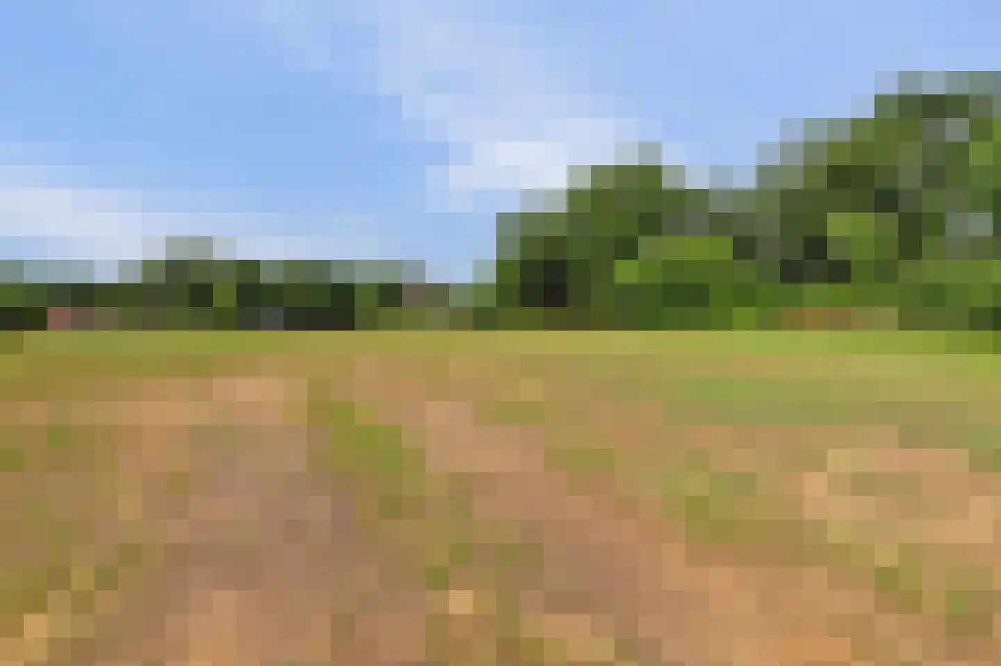 Valkenhorst 72 Cuijk thumbnail 54